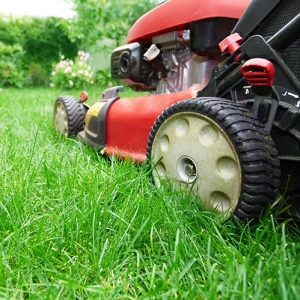 COVID-19 Lawn Maintenance Guidelines